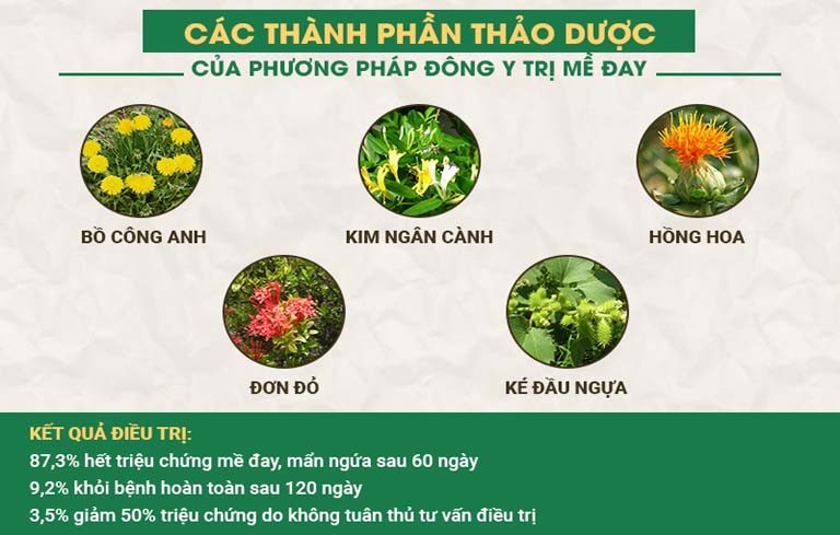 Thành phần chủ dược của bài thuốc Tiêu ban Giải độc thang