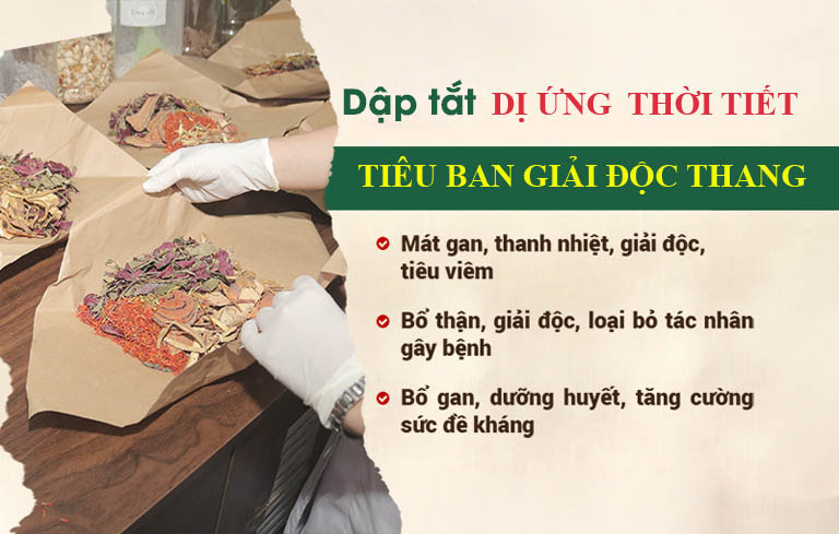 Bài thuốc Tiêu ban Giải độc thang lựa chọn của nhiều người bệnh dị ứng thời tiết