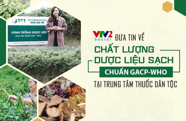 Hệ thống vườn dược liệu Thuốc dân tộc được VTV2 đưa tin