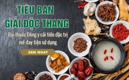 Tiêu ban Giải độc thang dùng như thế nào?