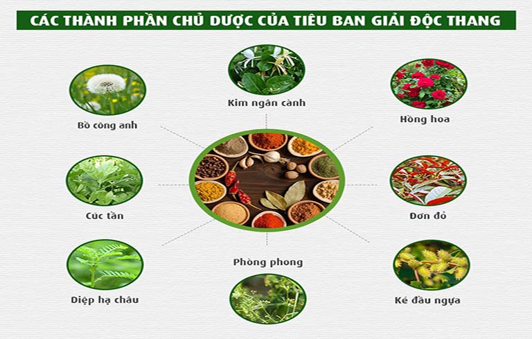 Tiêu ban giải độc thang với thành phần từ thảo dược quý