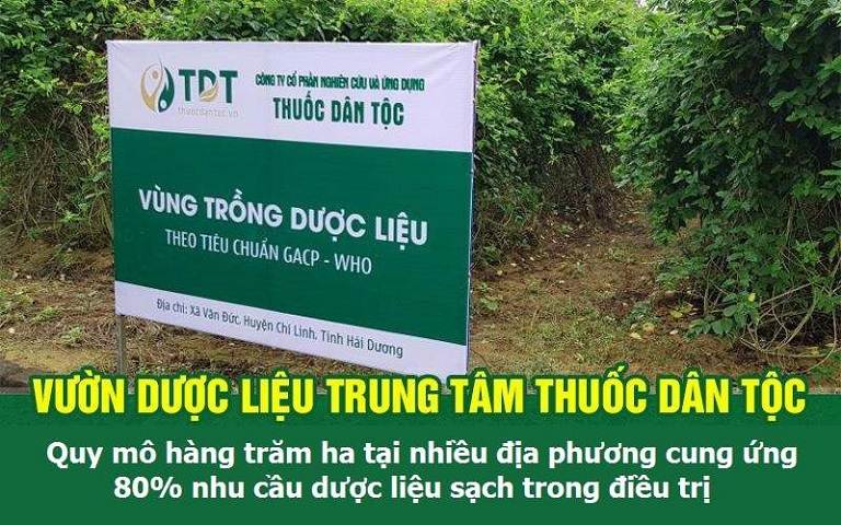 Bài thuốc điều trị mề đay Tiêu ban Giải độc thang