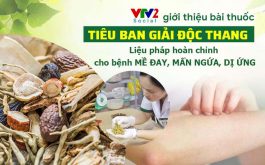 VTV2 giới thiệu bài thuốc Tiêu ban Giải độc thang đặc trị mề đay mẩn ngứa