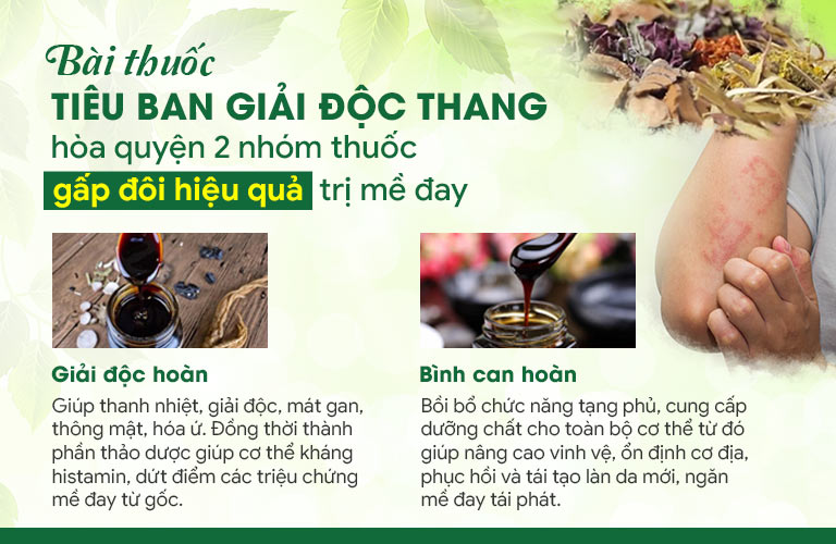 Bài thuốc Tiêu ban Giải độc thang với công thức thuốc đặc biệt cho hiệu quả toàn diện