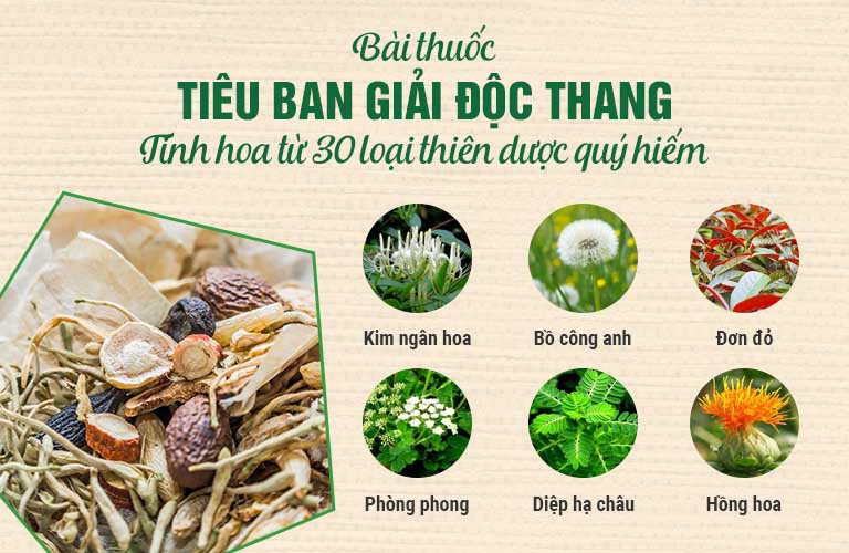 Bài thuốc Tiêu ban Giải độc thang hòa quyện từ hơn 30 thiên dược quý