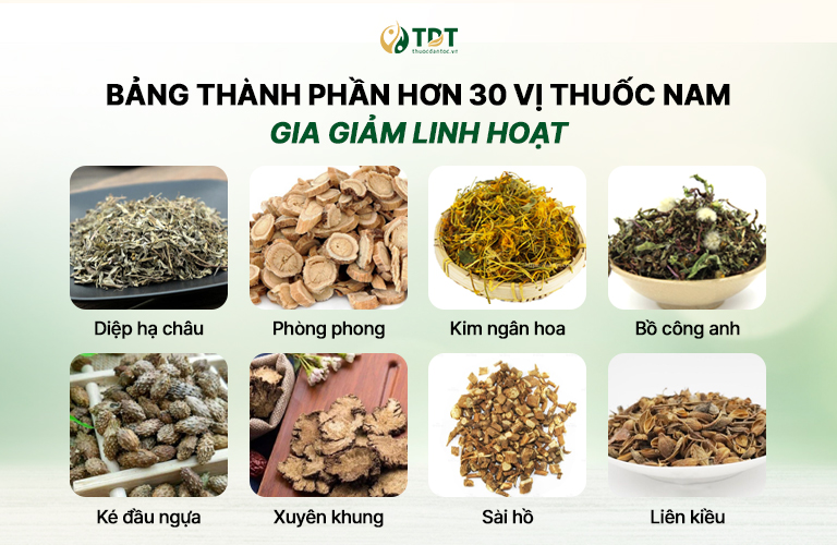 Bảng thành phần hơn 30 vị thuốc Nam